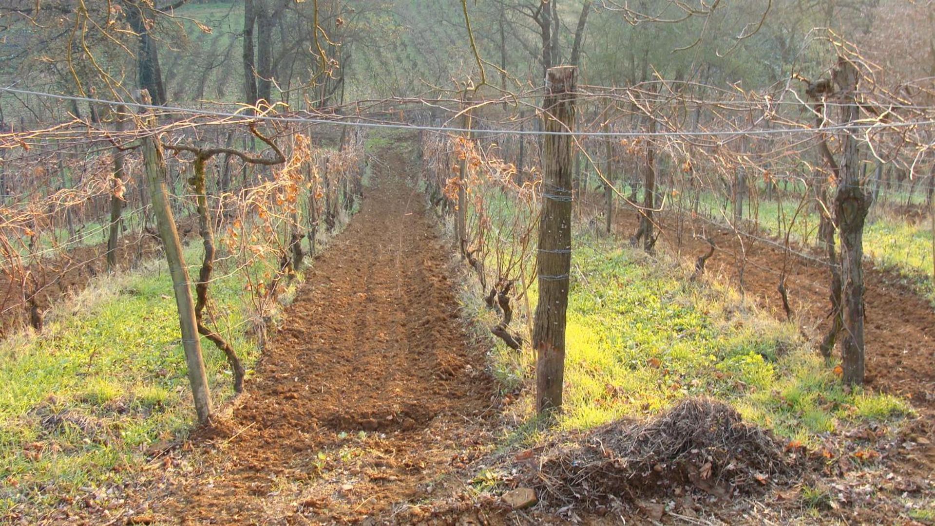 Agriturismo Cascina Degli Ulivi Novi Ligure Exteriér fotografie