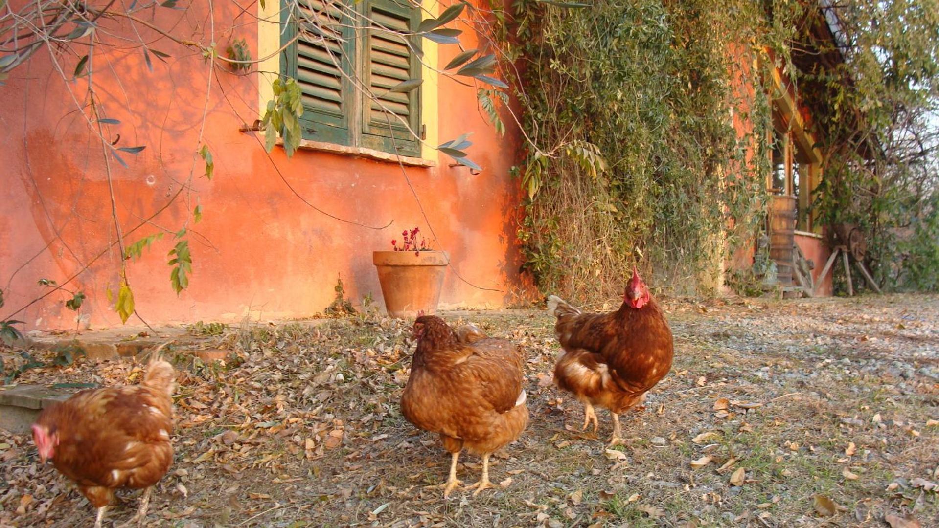 Agriturismo Cascina Degli Ulivi Novi Ligure Exteriér fotografie