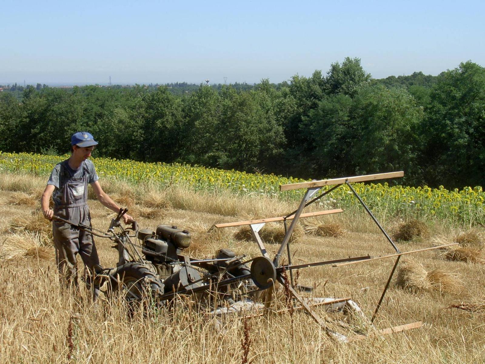 Agriturismo Cascina Degli Ulivi Novi Ligure Exteriér fotografie