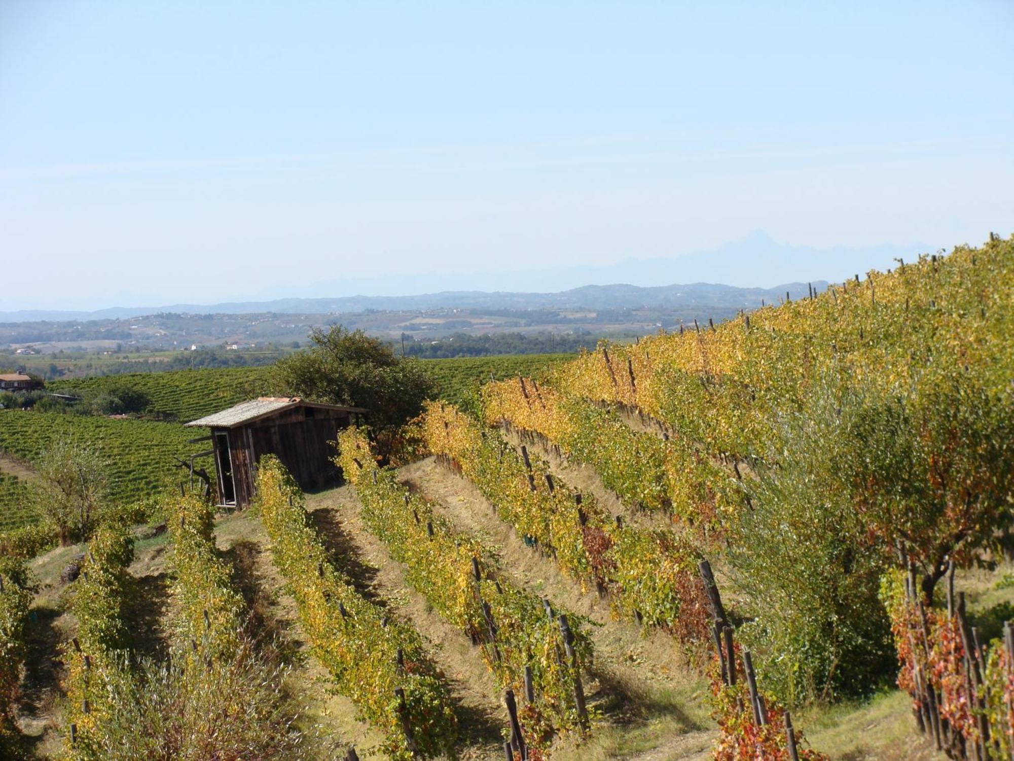 Agriturismo Cascina Degli Ulivi Novi Ligure Exteriér fotografie