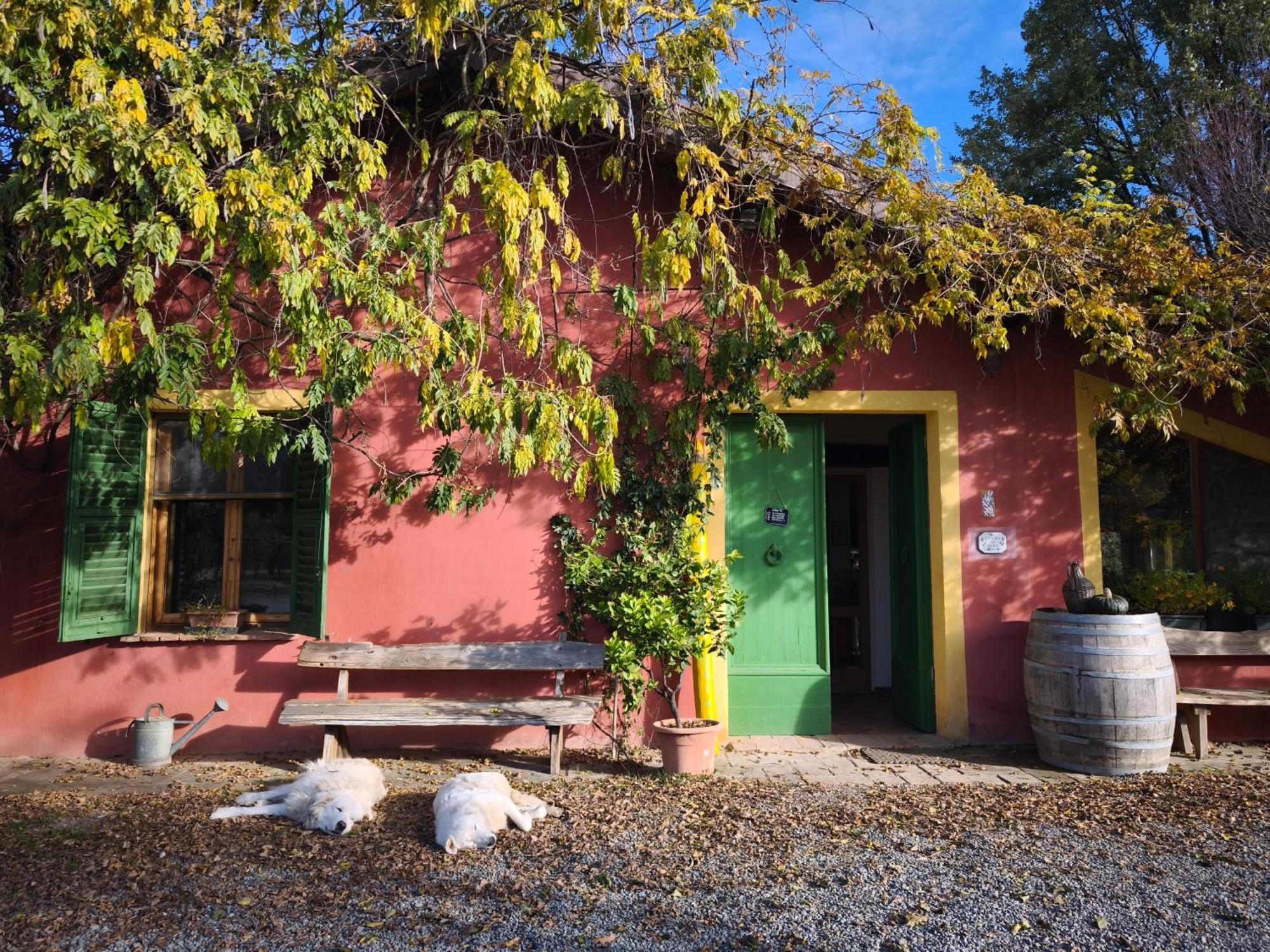 Agriturismo Cascina Degli Ulivi Novi Ligure Exteriér fotografie
