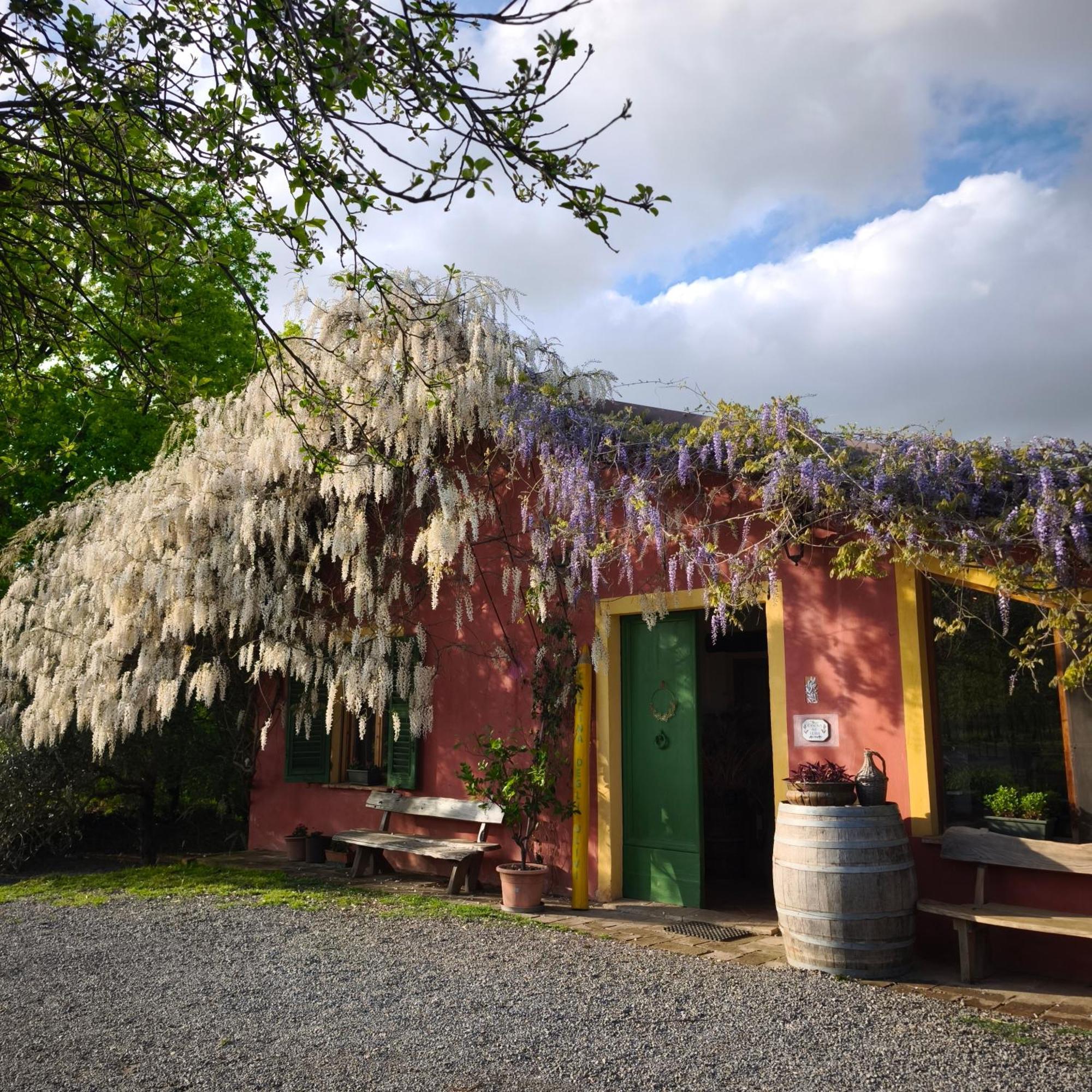 Agriturismo Cascina Degli Ulivi Novi Ligure Exteriér fotografie